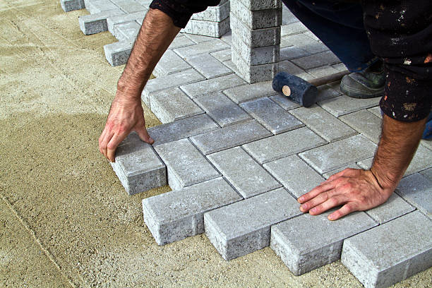 Best Local Driveway Pavers  in Holiday, FL